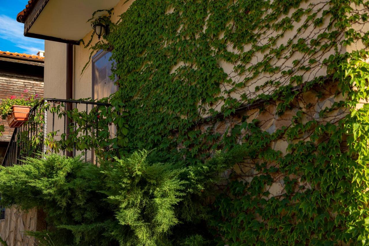 Menada Sunny Hill Villa Kosharitsa المظهر الخارجي الصورة